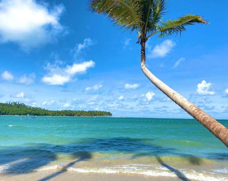 Flat Praia Dos Carneiros Eco Resort 26 Tamandaré Εξωτερικό φωτογραφία